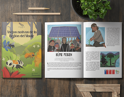 La revista: Una renovación ilustrada