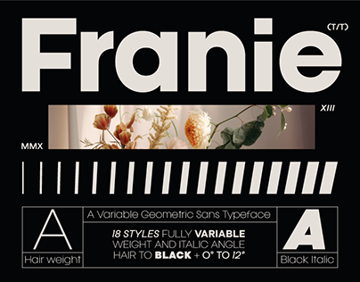 Project thumbnail - Franie Variable Geometric Sans Family (18 Fonts)