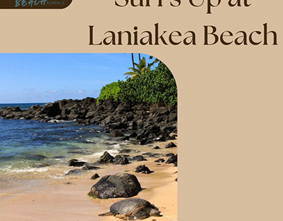Laniakea Beach