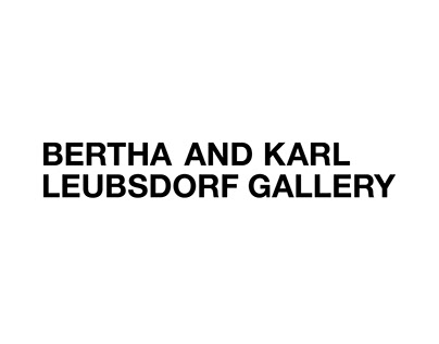 Leubsdorf Gallery — branding and website