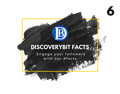 DiscoveryBit Facts