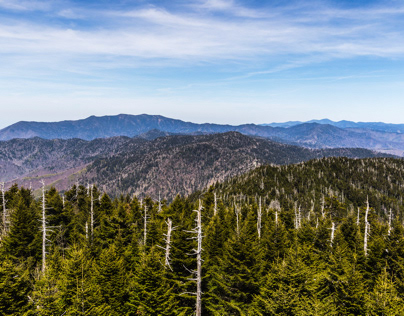 View of the Smoky Mountains from Clingmans Dome