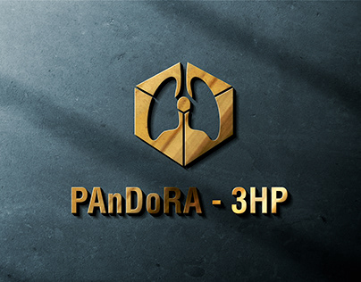 Pandora box logo