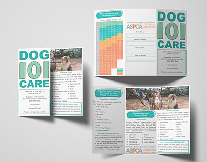Trifold Brochure - Dog Care 101