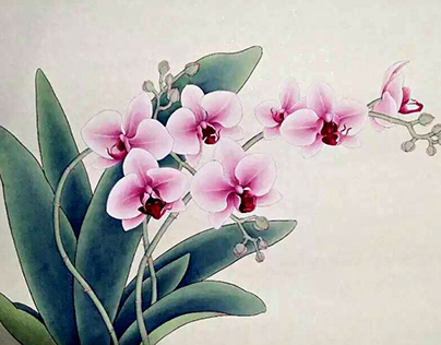 【Chinese meticulous painting】蝴蝶精灵
