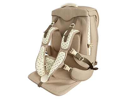 Multifunctional backpack carrier