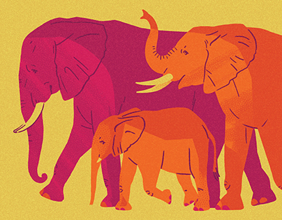 Elephants on Parade Illustration