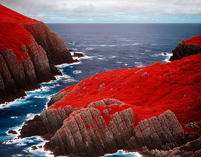 Red landscapes