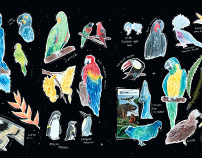 Jurong Bird Park Collage