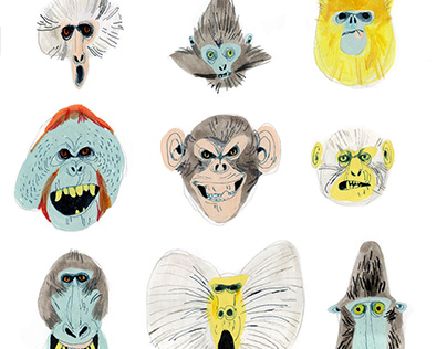 Monkeys drawings