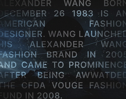 Alexander WANG - website presentation