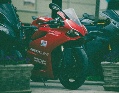 "Motorbikes: The Thrill of Two-Wheeled Freedom"