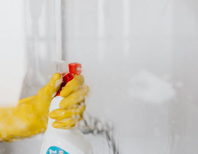 Great Stuff Spray Foam: A Versatile Solution