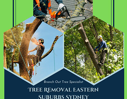 Tree Removal Eastern Suburbs Sydney