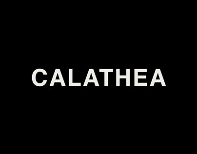 Calathea Arquitetura | NAMING