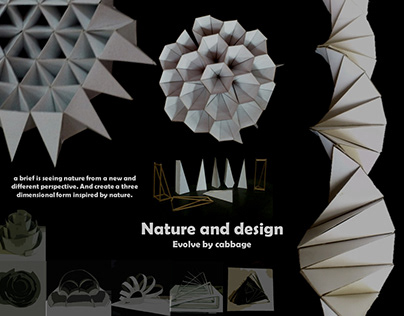 Second Year Project - Nature and Design