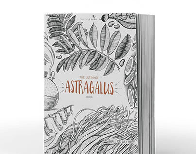 Astragalus Recipe Book