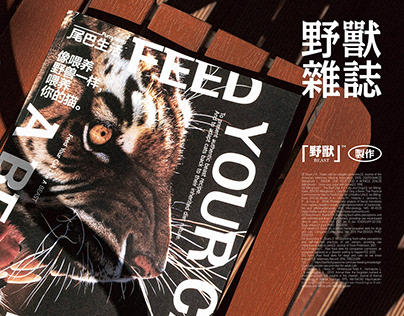 Furrytail®野兽杂志《像喂养野兽一样，喂养你的猫》