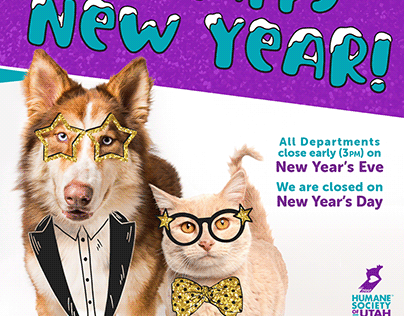 New Year Update for Animal Shelter