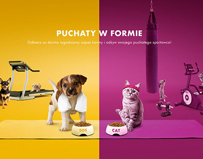 Whiskay and Pedigree activation