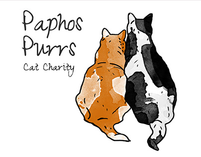 Illustrative Identity for the Cat Charity Organisation