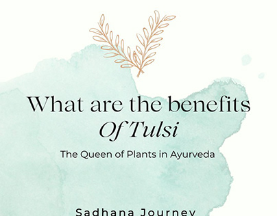 Sadhana Journey - Content creator on Tulsi