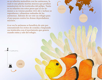 mutualismo pez payaso y anemona