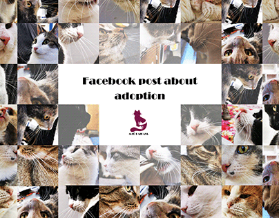 Adoption Campaign for Cat Shelter Paikass