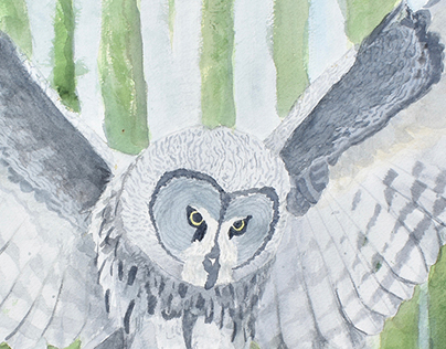 Artist Study - Great Grey Owl by Owlkingdom