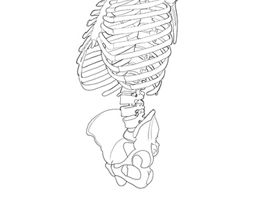 medical illustration design