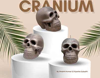 WAX MOULDING - Cranium