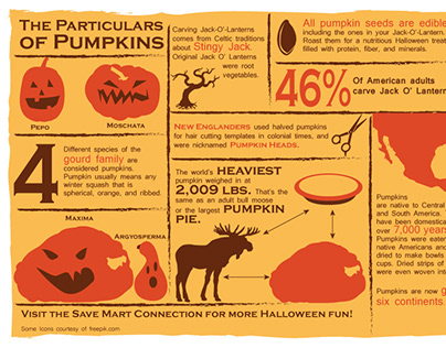 Pumpkin Info Graphic