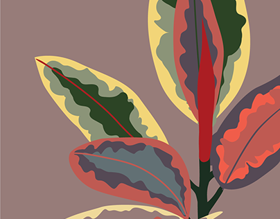 Rubber plant illustration (2022)