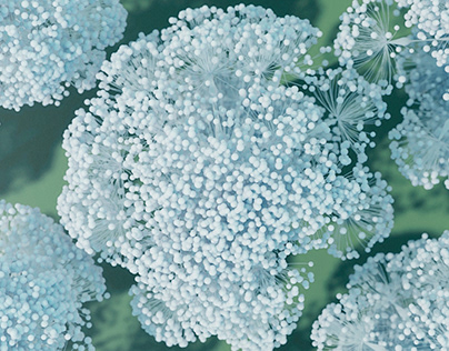 CGI Flowers