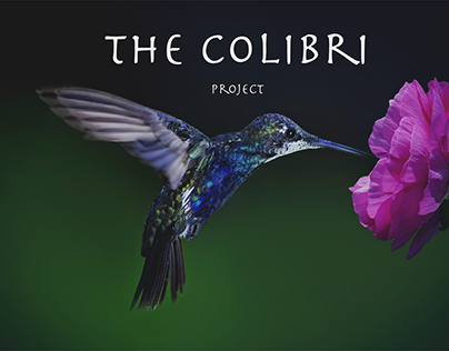 The Colibri