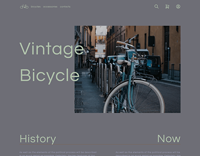 Vintage bicycle shop