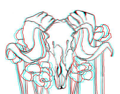 Ram Skull with Poppies Anaglyph Drawing