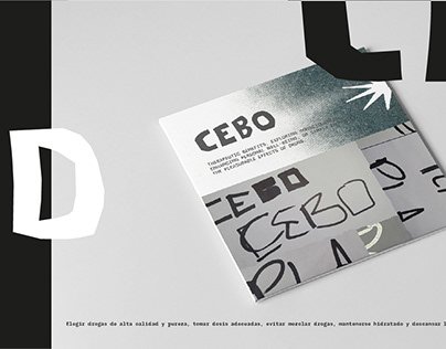 Project thumbnail - CEBO
