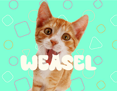 cat food brand "Weasel"
