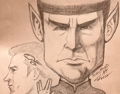 Star Trek - Spock & Kirk