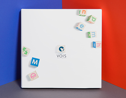 VOIS Software - Packaging & Brochures