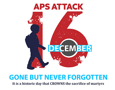 APS attack 16December2014