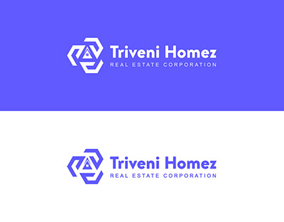Logo Designing For House Developer Triveni Homez