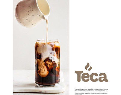 Teca Brand Identity Design