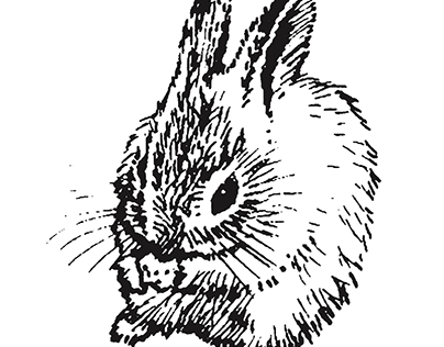 The Prufrock Bunny