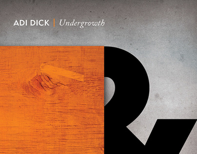 Adi Dick | EP Cover Artwork 2014