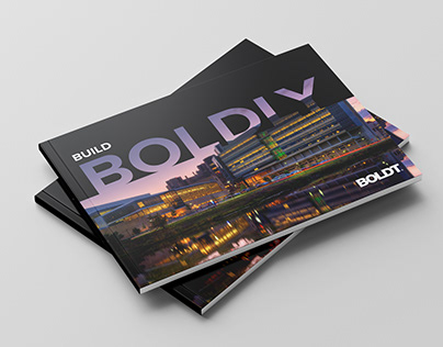 Boldt Company Overview