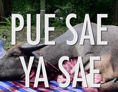 Pue Sae Ya Sae Festival (Informative Video)