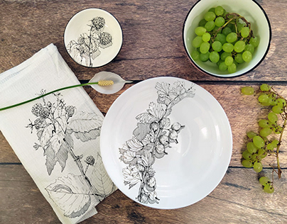Sketches on plates