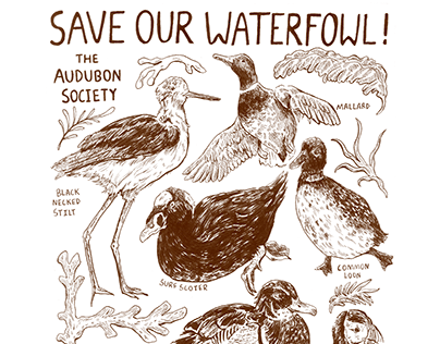 Save Our Waterfowl Poster